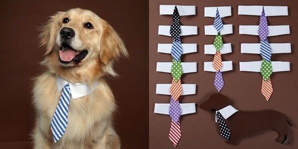 Dog In Tie